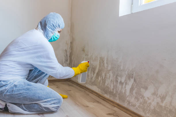 Crawl Space Mold Remediation treatment of floor joists in Winthrop