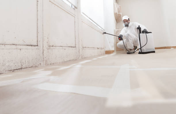 Black mold remediation team in Winthrop